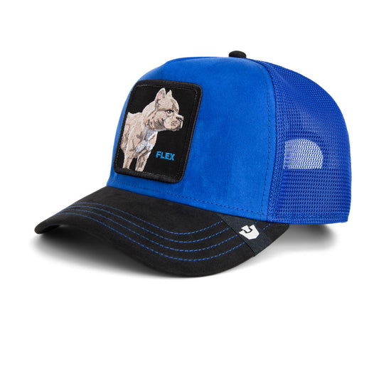 Goorin Cap Suede Pitbull