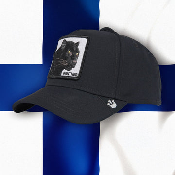 Viralliset kokoelmat