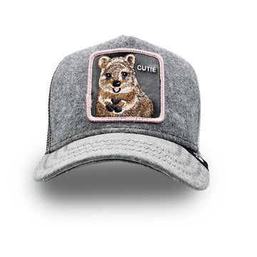 Goorin Trucker Cap Cutie Grey (Quokka)