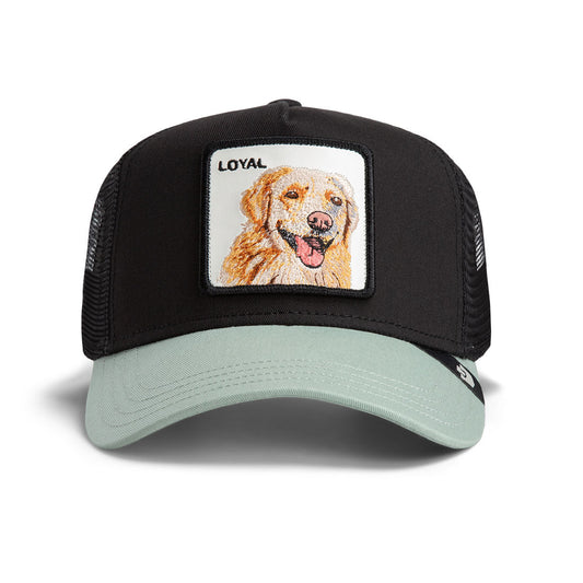 Goorin Cap The Loyal Dog