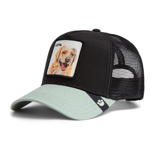 Goorin Cap The Loyal Dog