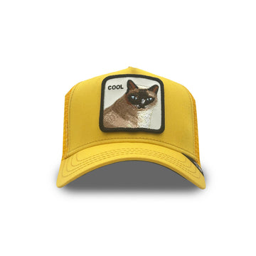 Goorin Cap Cool Cat