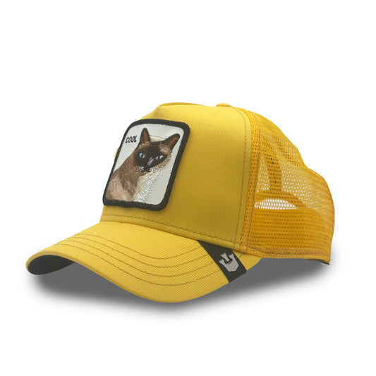 Goorin Cap Cool Cat