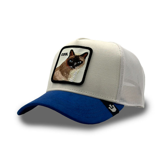 Goorin Cap V2 Cool Cat