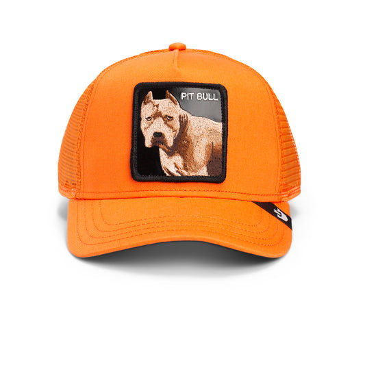 Goorin Cap The Dog Pit Bull