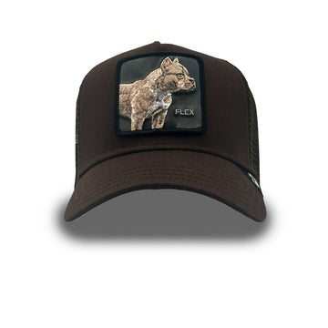 Goorin Cap Pitbull Flex (TRUCKER)