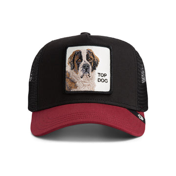 Goorin Cap The Top Dog