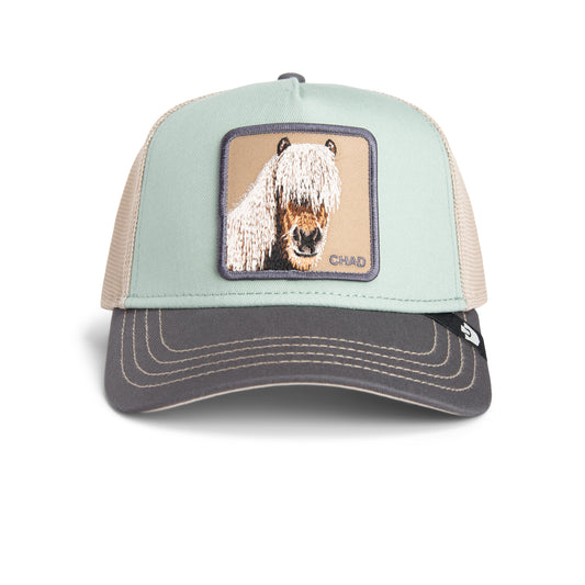 Goorin Cap Tricolor Horse