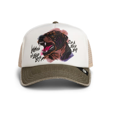 Goorin Cap Bad Boy Disruption