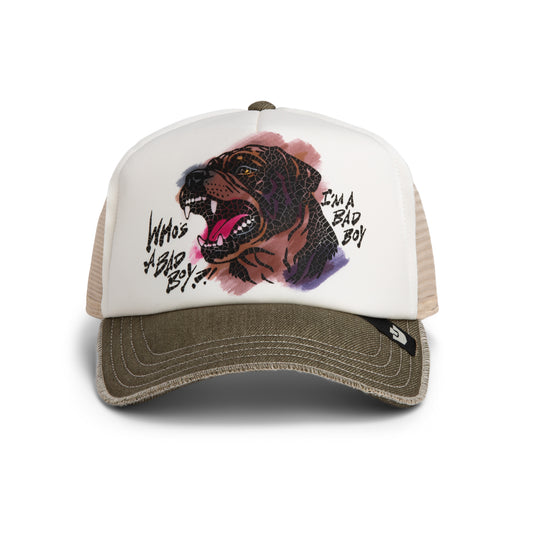 Goorin Cap Bad Boy Disruption