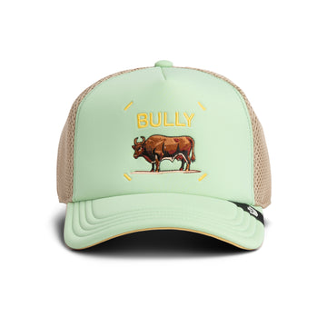 Goorin Cap Bully Bull