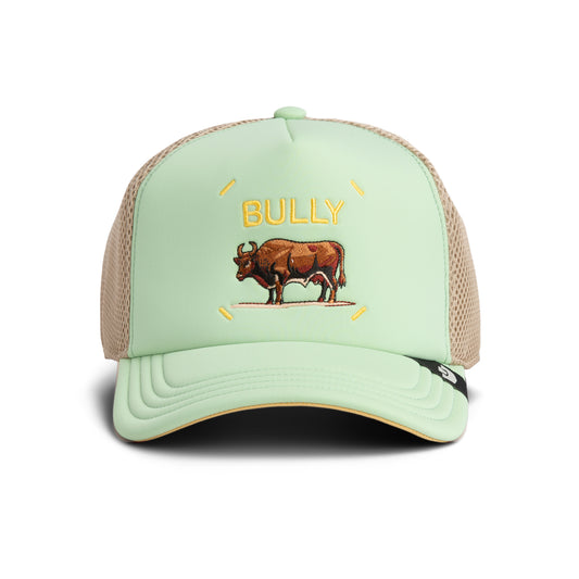 Goorin Cap Bully Bull