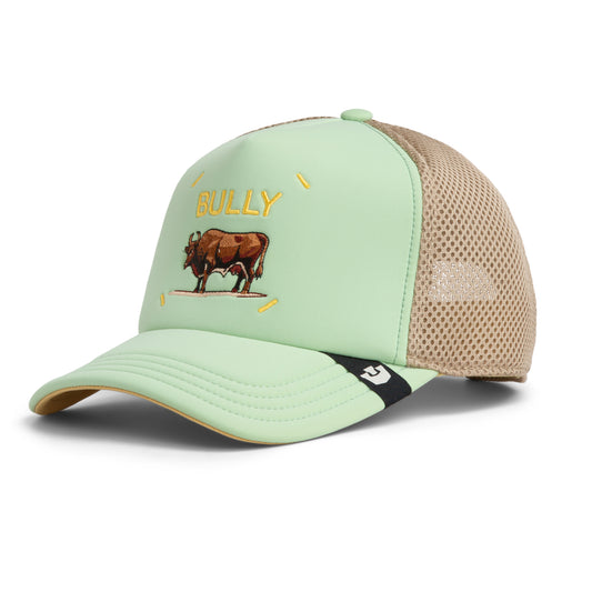 Goorin Cap Bully Bull