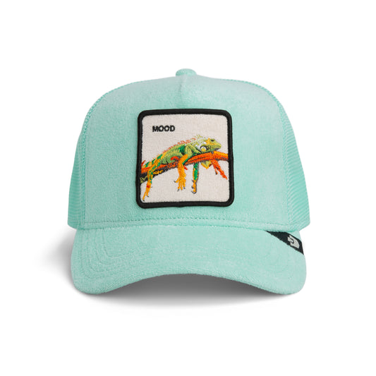Goorin Cap Terry Cloth Iguana