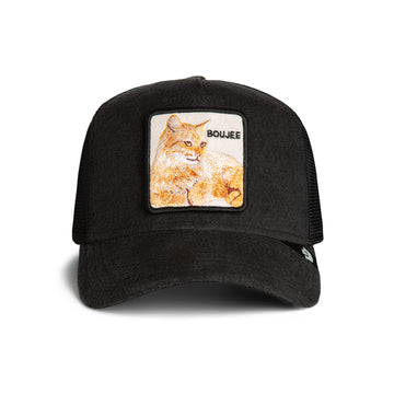 Goorin Cap Terry Cloth Cat