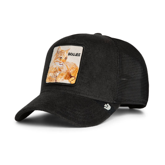 Goorin Cap Terry Cloth Cat