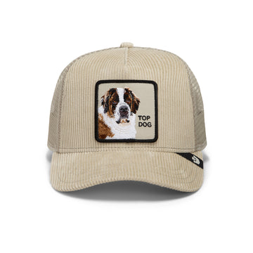 Goorin Cap Corduroy Top Dog