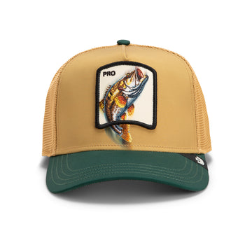 Goorin Cap Migration - Pro