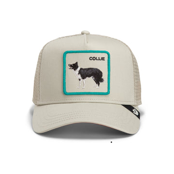 Goorin Cap Shadow Border Collie