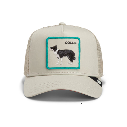 Goorin Cap Shadow Border Collie