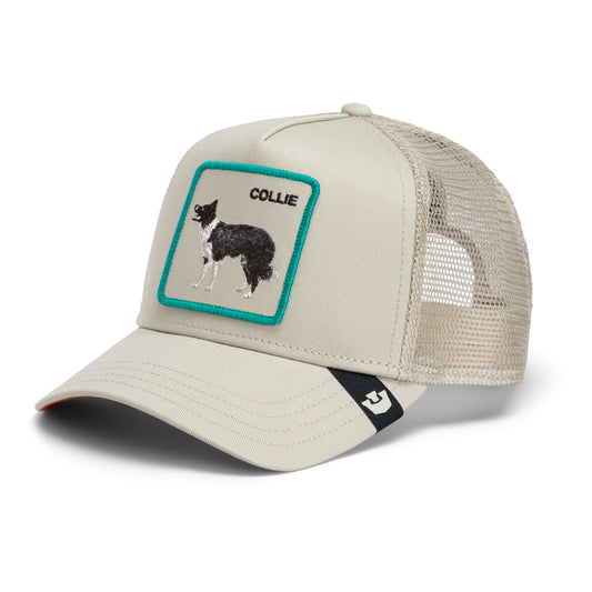 Goorin Cap Shadow Border Collie