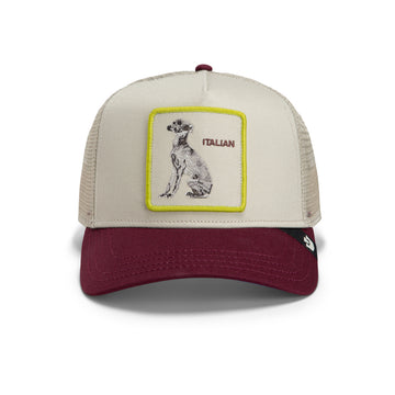Goorin Cap Shadow Italian Greyhound