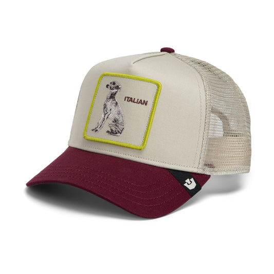 Goorin Cap Shadow Italian Greyhound