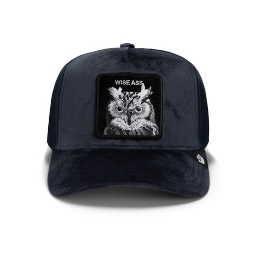 Goorin Cap Velour Wise Ass