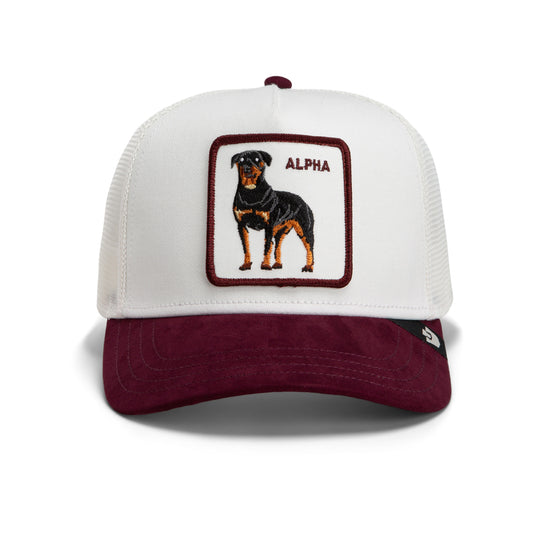 Goorin Cap Suede Alpha