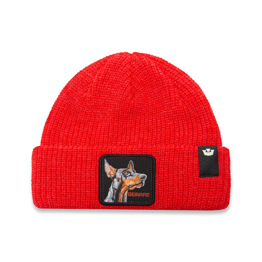 Goorin Beanie The Beware Dog