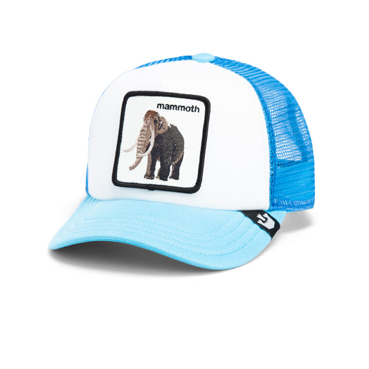 Goorin Cap Mammoth Kiddo