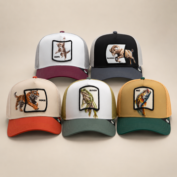 Migration-Bundle