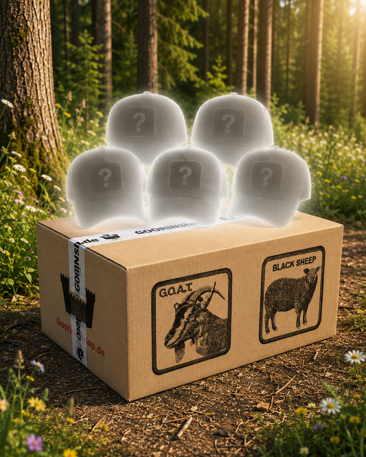 GOORINshop Surprise-Box